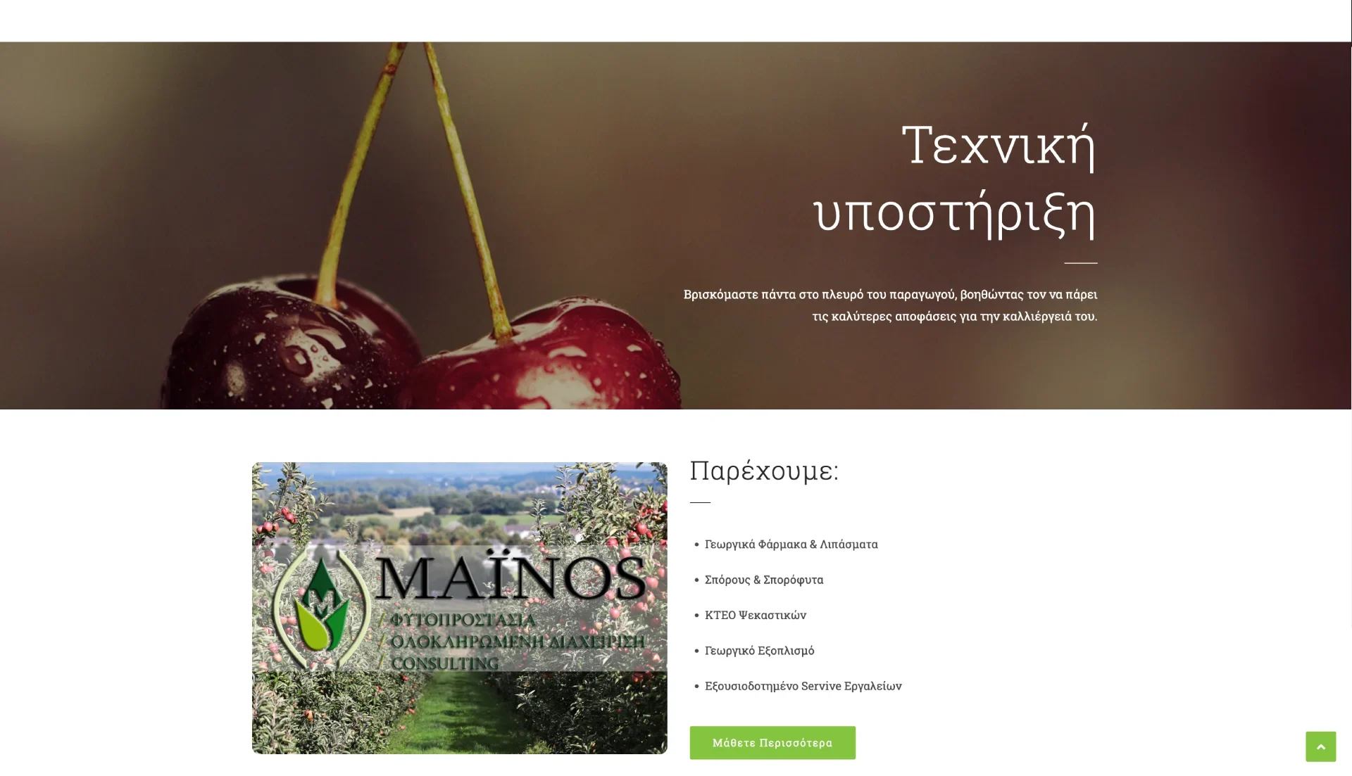 BrandaLAB mainos Portfolio Projects4