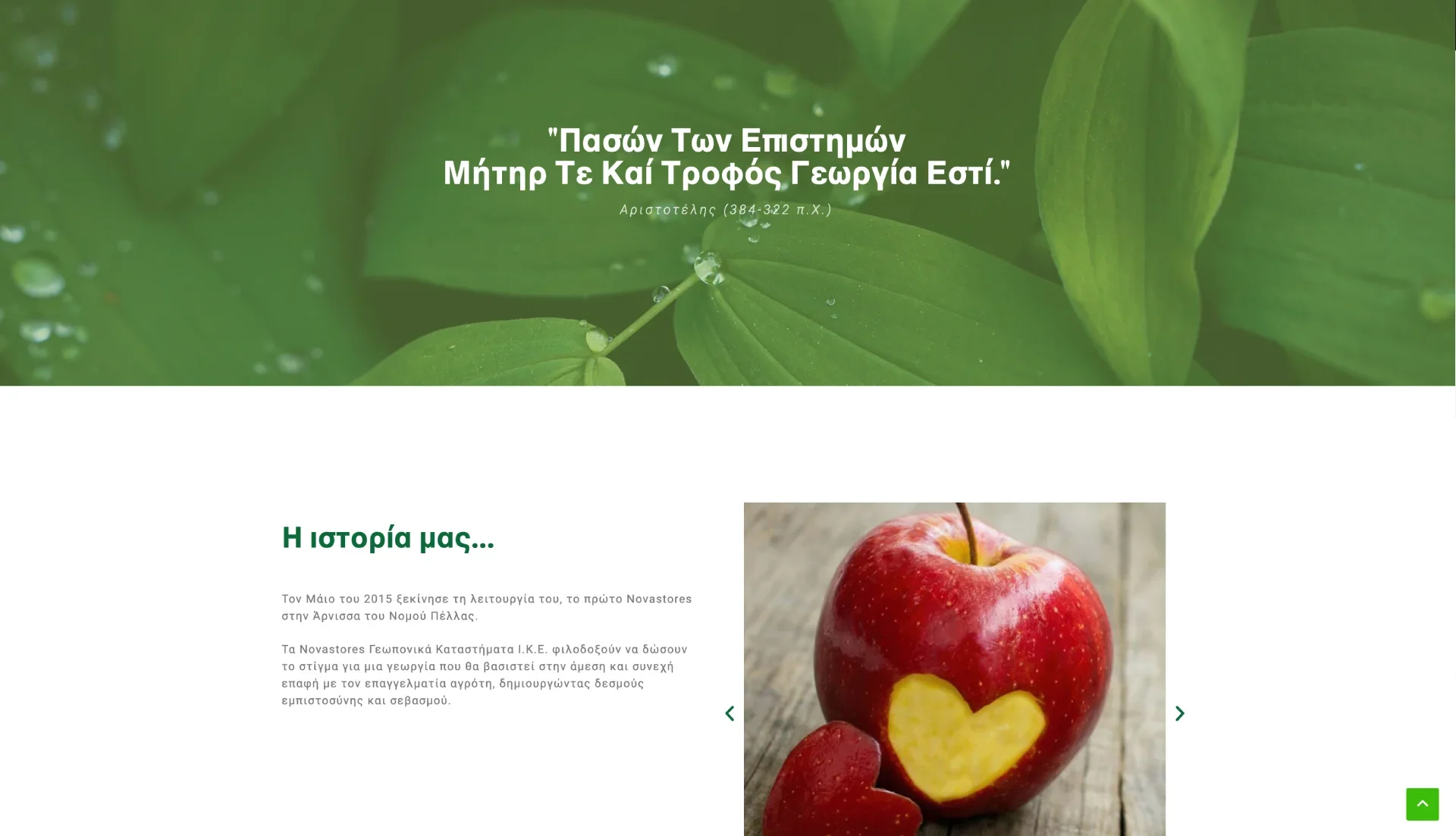BrandaLAB nova stores Portfolio Projects4