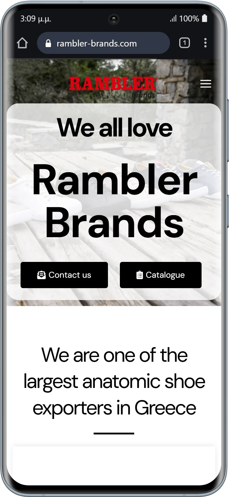 BrandaLAB rambler brands Portfolio Projects2