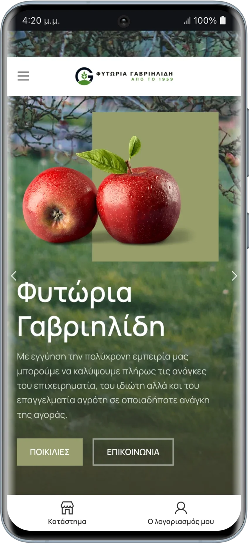 BrandaLAB fytoria gavriilidi Portfolio Projects2