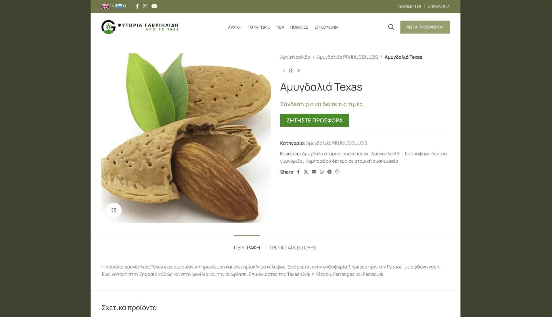 BrandaLAB fytoria gavriilidi Portfolio Projects3