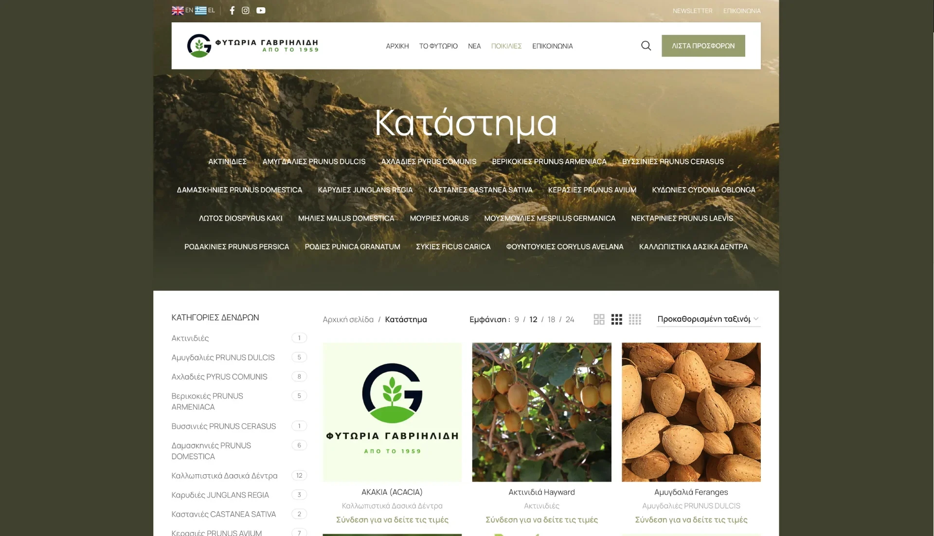 BrandaLAB fytoria gavriilidi Portfolio Projects4