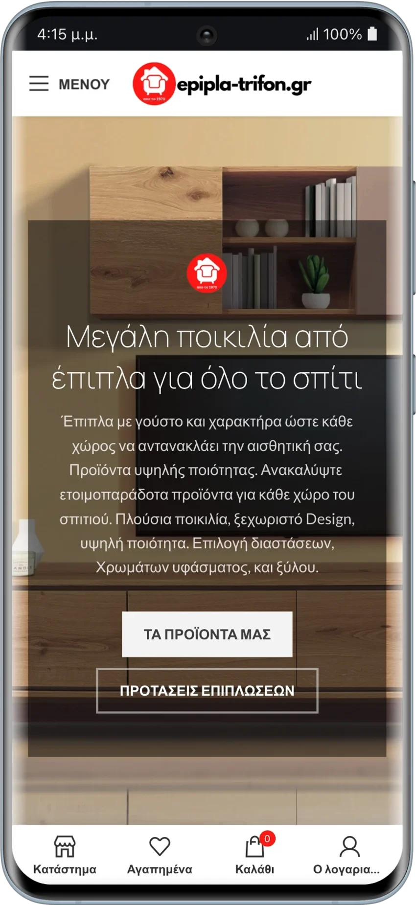 BrandaLAB epipla trifon Portfolio Projects2