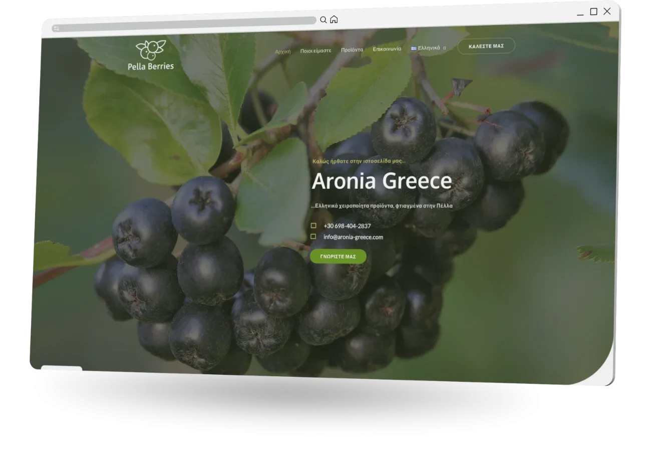 BrandaLAB aronia greece Portfolio Projects1