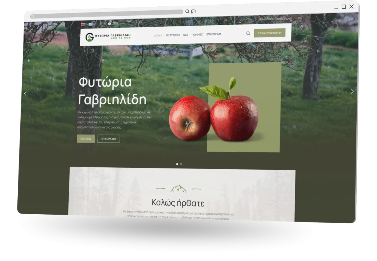 BrandaLAB fytoria gavriilidi Portfolio Projects1