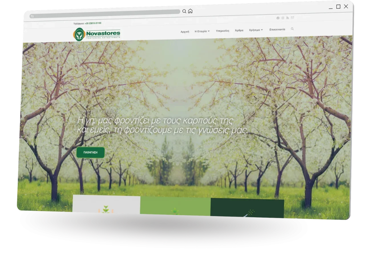 BrandaLAB nova stores Portfolio Projects1