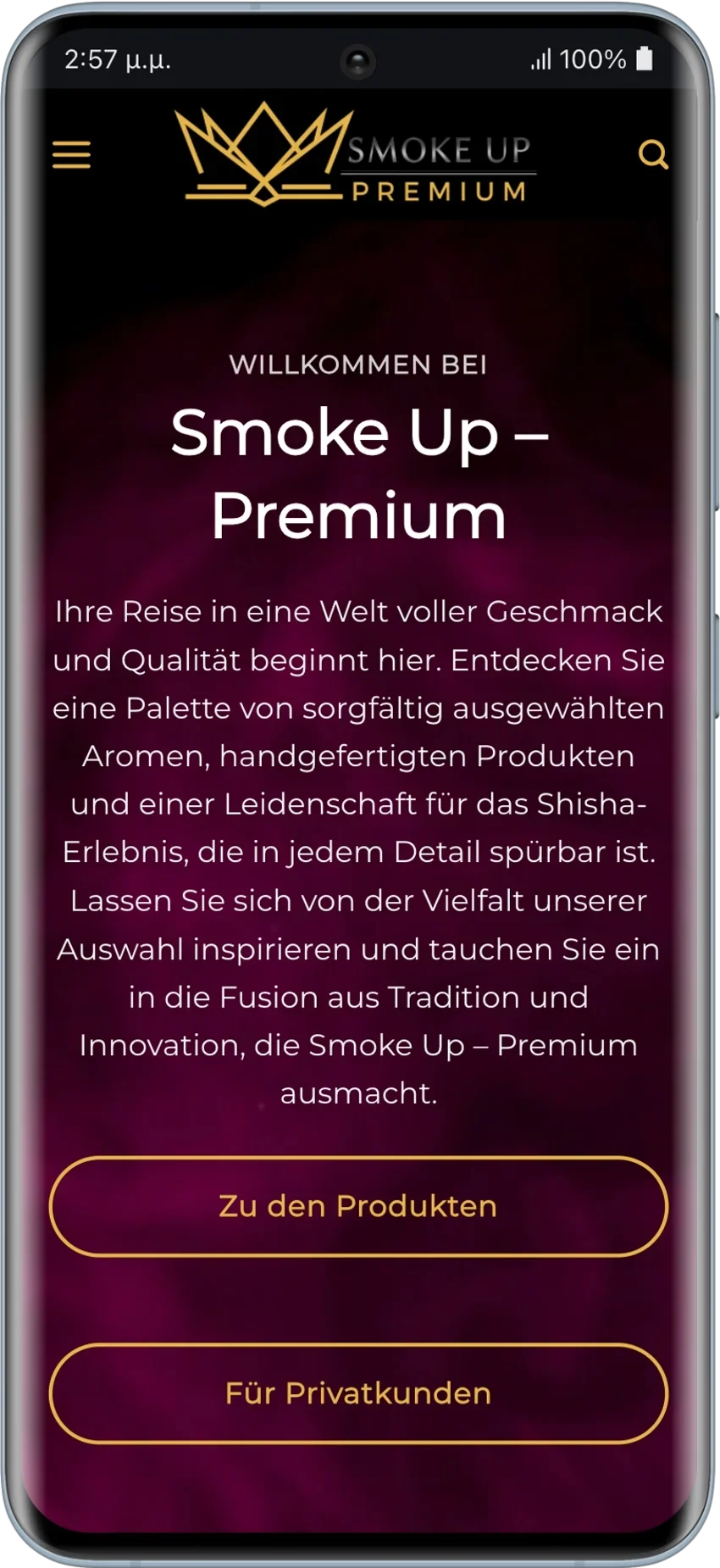 BrandaLAB smoke up Portfolio Projects2