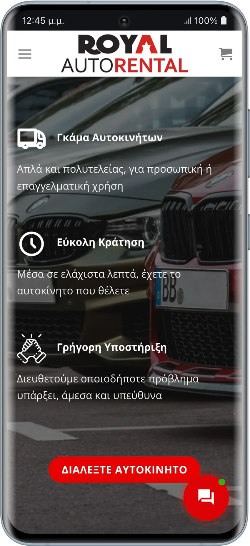 BrandaLAB autoroyalrental Portfolio Projects2