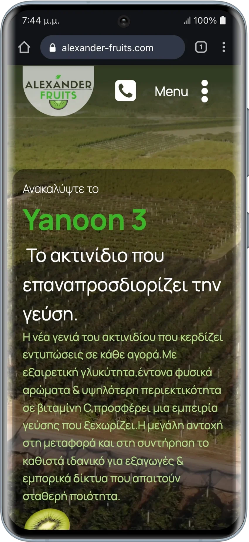 BrandaLAB alexander fruits Portfolio Projects2