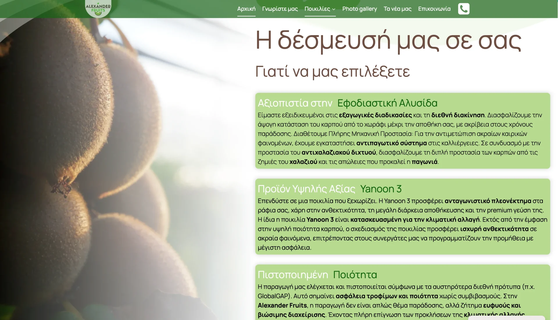 BrandaLAB alexander fruits Portfolio Projects5